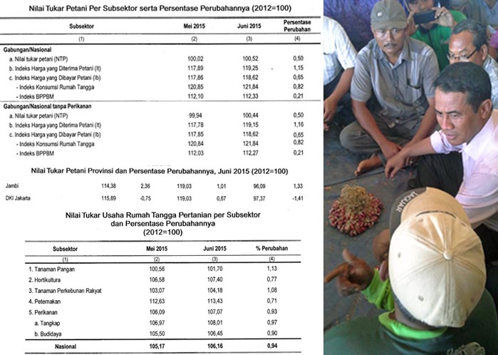 Nilai Tukar Petani Juni 2015 Capai 100,52 